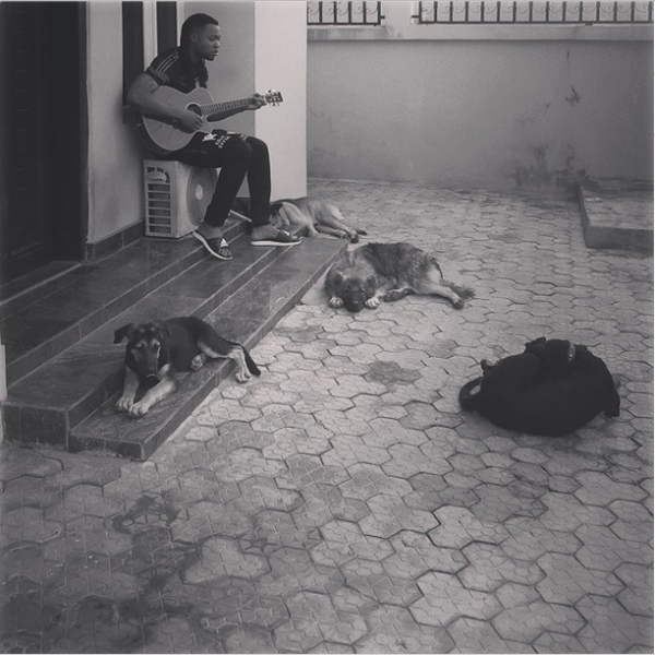 Is Flavour Playing His Guitar to Get His Dogs to Sleep?