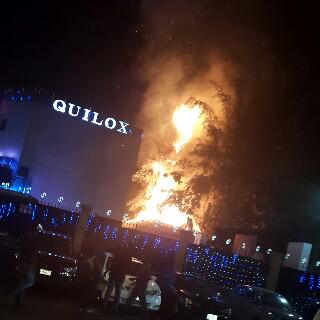 wpid-quilox.jpg
