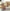 Afia-Facebook.jpg image