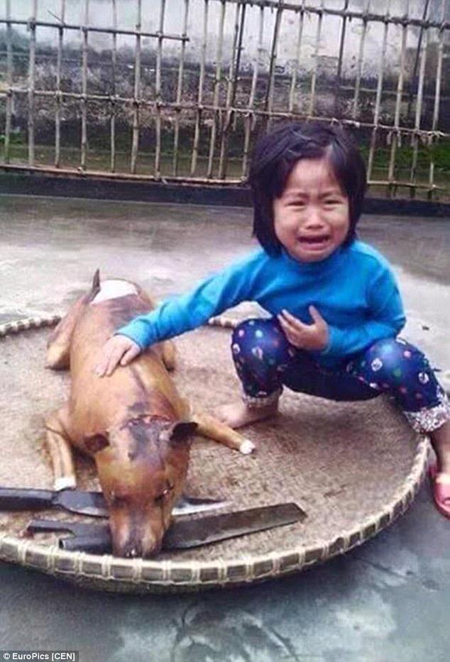 Five Year Old Girl In Vietnam Found Her Missing Dog Read-Cooked In A Restaurant