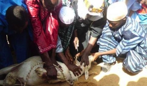 Why Eid-el-Kabir was Shifted to 24 September