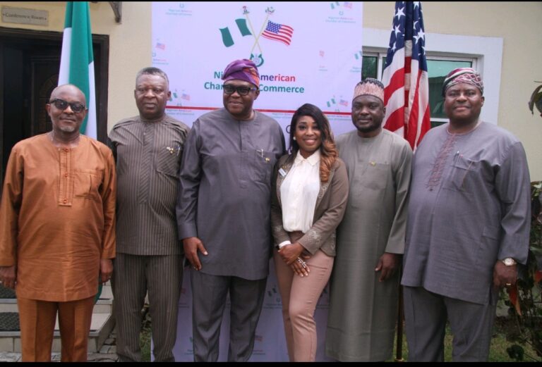 Nigerian-American Chamber of Commerce To Inaugurate 20th President & Executive Council, Unveils Bold Economic Agenda