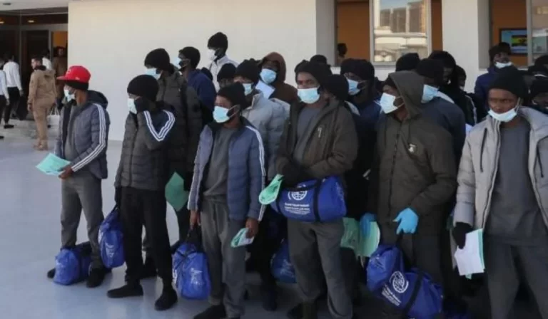 Canada Deports 366 Nigerians in Aggressive 2025 Crackdown; Hundreds More Await Removal