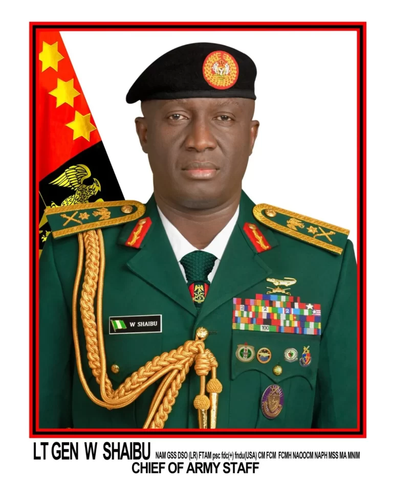 “Massive Deployments Coming” — Army Chief Vows to Crush Terrorists Following Deadly Niger State Market Massacre