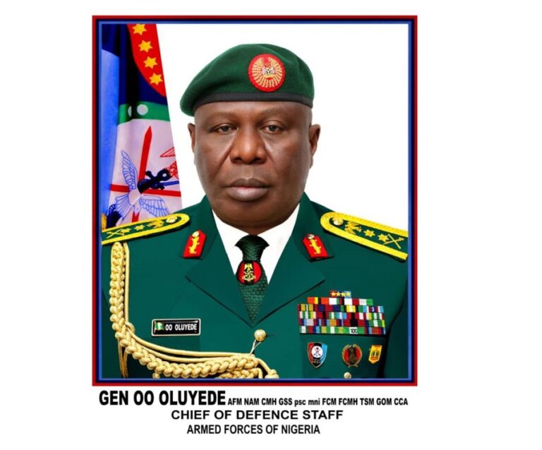 Armed Forces Will Defend Democracy, Secure Nigeria — CDS Oluyede Reassures Tinubu