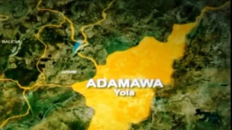 Police Probe Alleged Acid Attack on 17-Year-Old Boy in Adamawa
