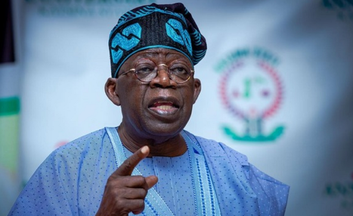 Tinubu Approves Full Carbon Market Rollout, Targets $3bn Annual Revenue by 2030