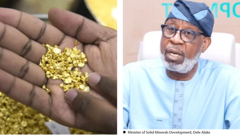 Gold Refinery Row: Northern Elders Accuse FG of Marginalisation as Govt Says Project Is Private