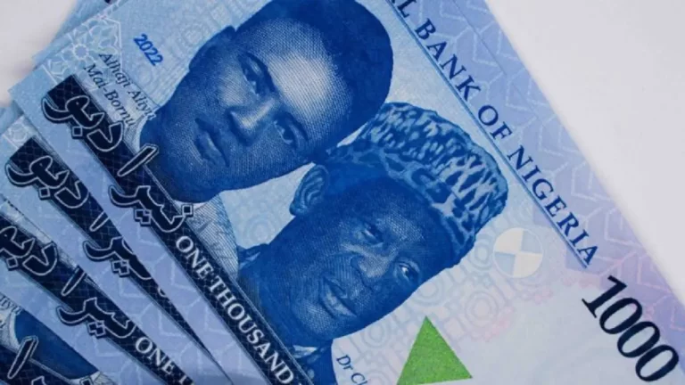 Naira Slips Further at Official Market Despite Rise in Nigeria’s Forex Reserves
