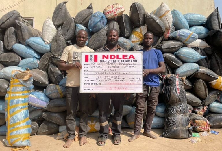 NDLEA Nabs Brazil-Based Nigerian with Cocaine at Lagos Airport, Seizes Over 9.9 Tonnes of Drugs in Nationwide Raids