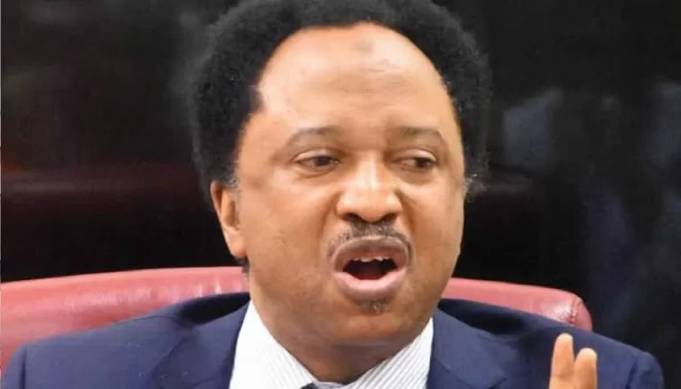 Shehu Sani Backs Remi Tinubu on US Airstrikes in Sokoto, Calls for More Military Action