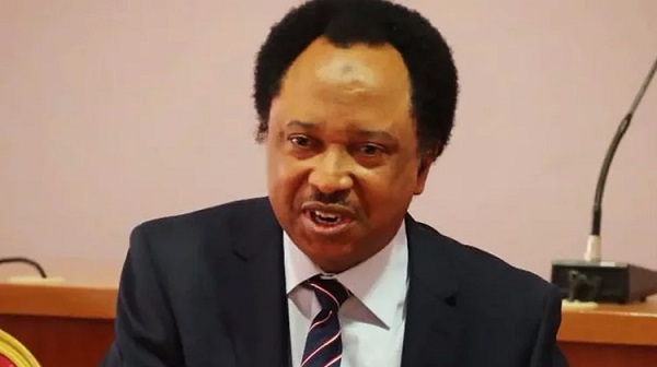 Shehu Sani Demands Probe of Nasir El-Rufai Over Alleged Financial Irregularities