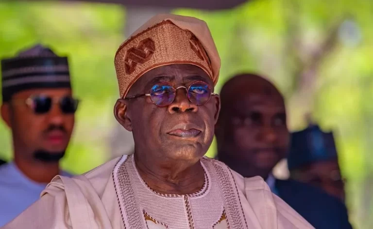 India, Others Reluctant to Accept Tinubu’s Ambassadorial Nominees Over Short Tenure Concerns