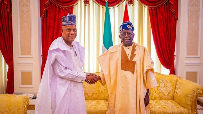 Shettima, Akpabio, Governors Applaud Tinubu’s Reforms, Say Policies Boost State Development