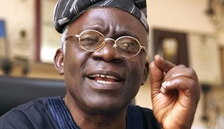 Falana Warns FG, States Against Negotiating With Terrorists, Says It Violates Nigerian Law