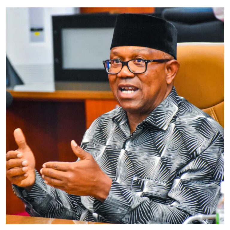 Peter Obi Dares Critics: Prove I Took 1% of Labour Party Donations, I’ll Quit Campaigning