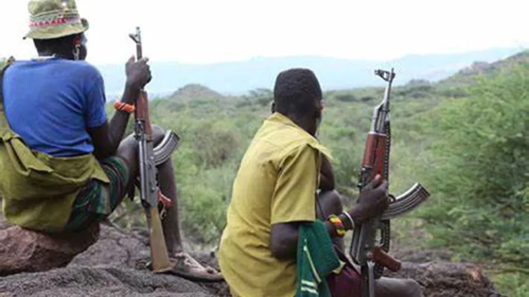 Viral Clip of Armed Bandits Boasting About Alleged Ransom Money Raises Alarm