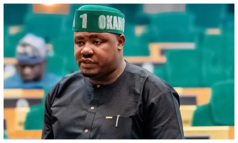 2025 Budget: Reps to Hold Ministers, MDAs Accountable, Not Tinubu — Agbese