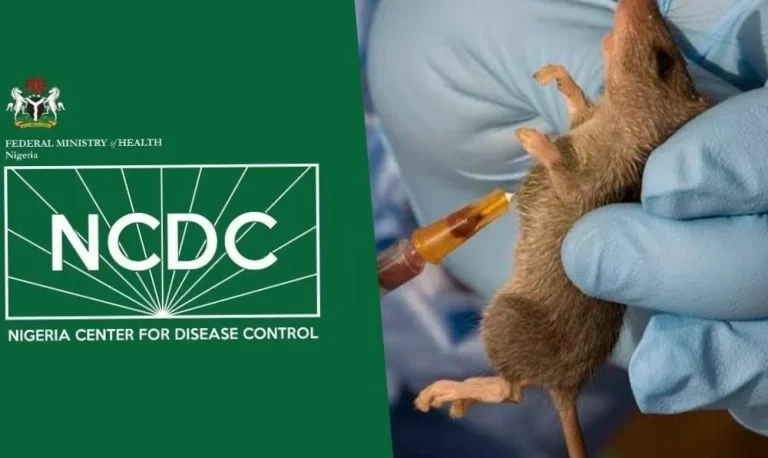 Lassa Fever Surges: Nigeria Records 1,035 Cases and Rising Fatality Rate