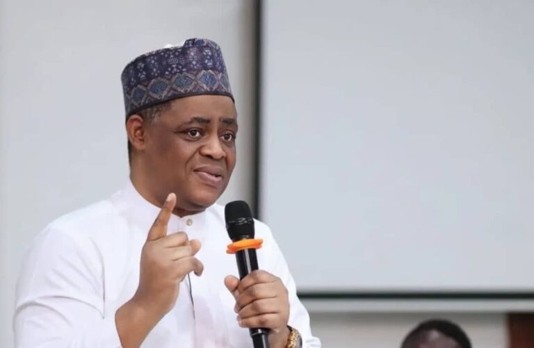 Fani-Kayode Raises Alarm as Eight Nigerians Die in South Africa in 2026 Alone